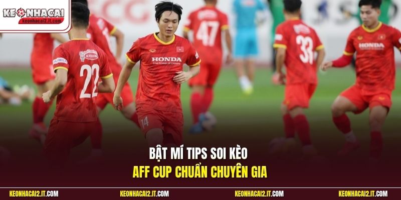 Bật mí tips soi kèo Aff Cup chuẩn chuyên gia 