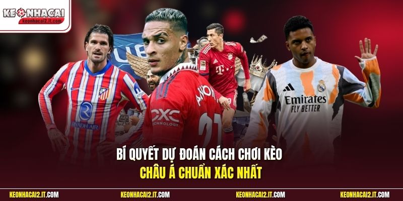 Bí quyết dự đoán cách chơi kèo châu Á chuẩn xác nhất