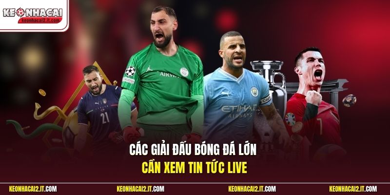 Các giải đấu bóng đá lớn cần xem tin tức live