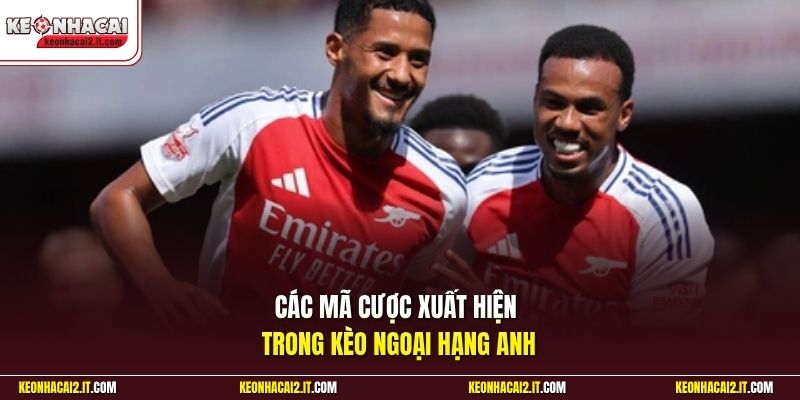 Các mã cược xuất hiện trong kèo Ngoại hạng Anh