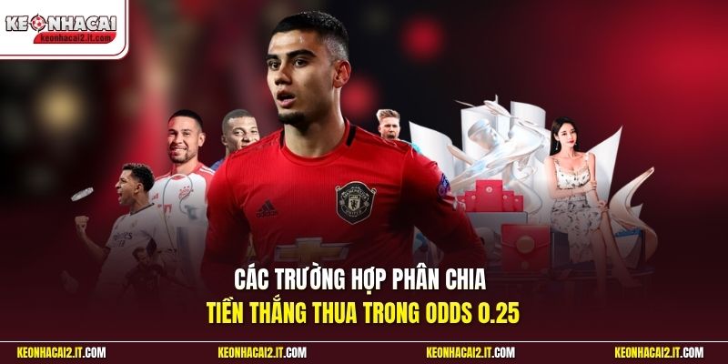 Các trường hợp phân chia tiền thắng thua trong odds 0.25