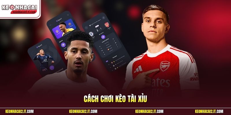 Cách Chơi Kèo Tài Xỉu | Cẩm Nang Đọc Kèo Dành Cho Tân Thủ 