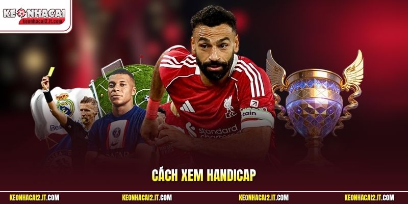 Cách Xem Handicap | Đọc Chuẩn Tỷ Lệ Để Tránh Chọn Sai Cửa 