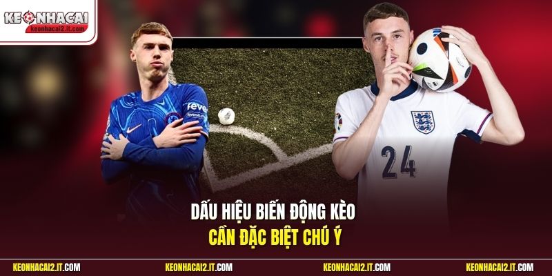 Dấu hiệu biến động kèo cần đặc biệt chú ý