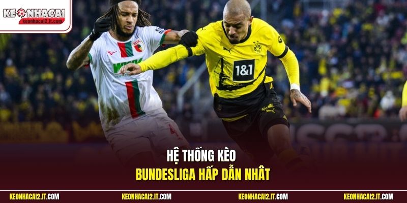 Hệ thống kèo Bundesliga hấp dẫn nhât 