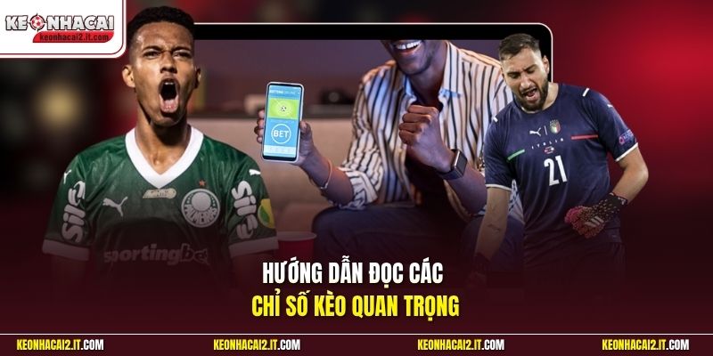 Hướng dẫn đọc các chỉ số kèo quan trọng