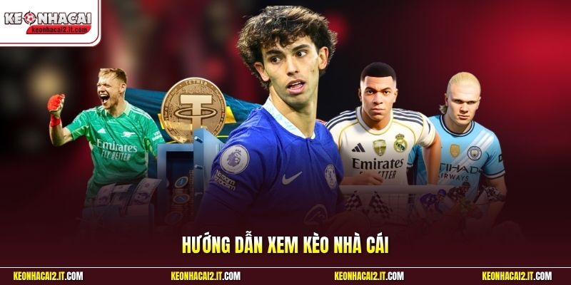 Hướng Dẫn Xem Kèo Nhà Cái | Bí Quyết Đọc Kèo Chuẩn Dễ Thắng