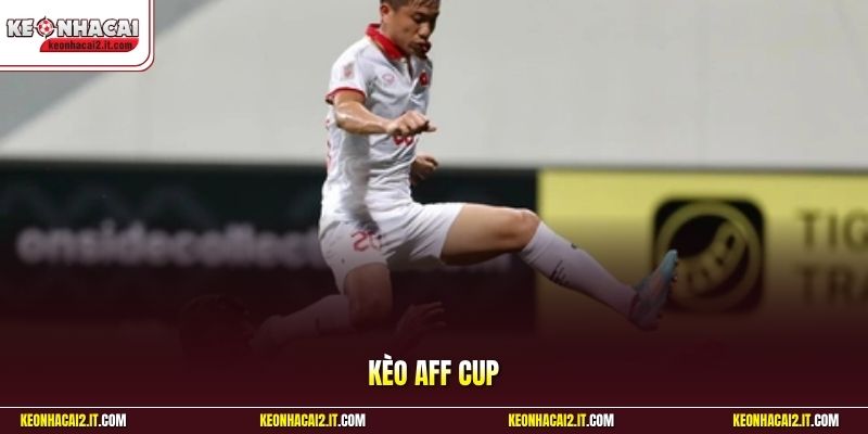 Kèo Aff Cup - Cập Nhật Tỷ Lệ Kèo Và Cách Đọc Kèo Chuẩn 