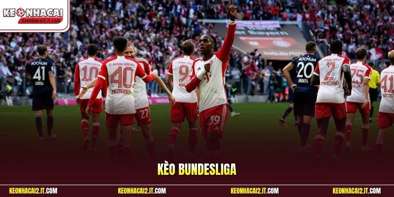 Kèo Bundesliga - Bứt Phá Giới Hạn Cùng Cúp Bóng Đá Đức
