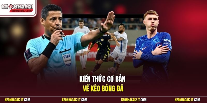 Kiến thức cơ bản về kèo bóng đá
