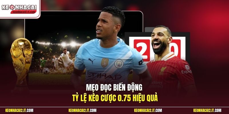 Mẹo đọc biến động tỷ lệ kèo cược 0.75 hiệu quả
