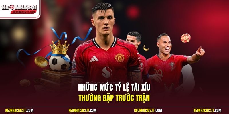 Những mức tỷ lệ Tài Xỉu thường gặp trước trận