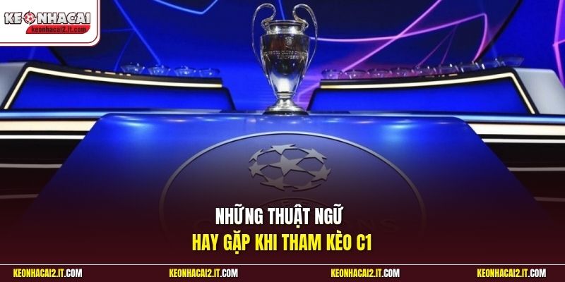 Những thuật ngữ hay gặp khi tham kèo C1 