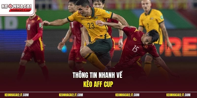 Thông tin nhanh về kèo Aff Cup 