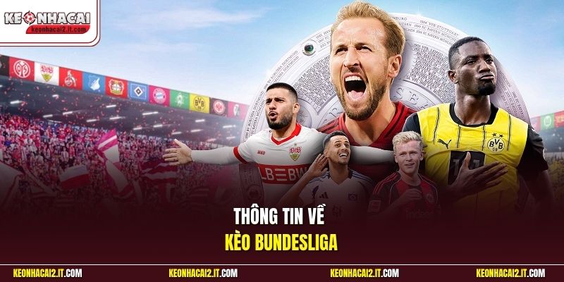 Thông tin về kèo Bundesliga 