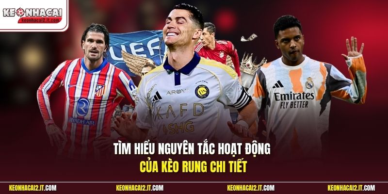 Tìm hiểu nguyên tắc hoạt động của kèo rung chi tiết