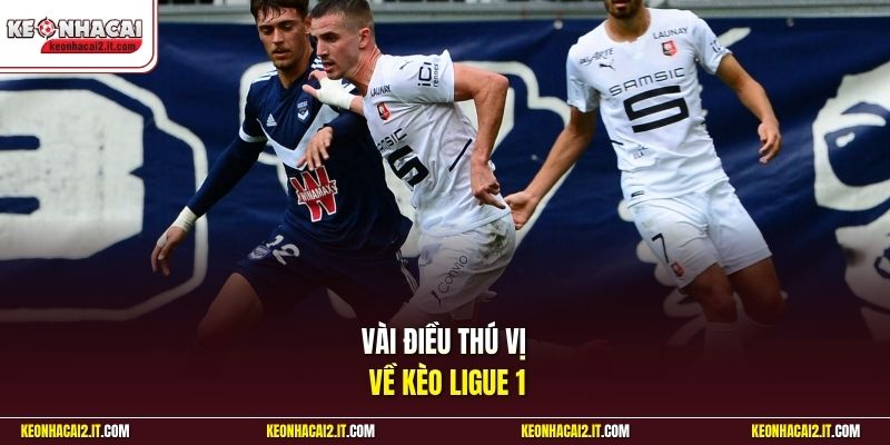 Vài điều thú vị về kèo Ligue 1